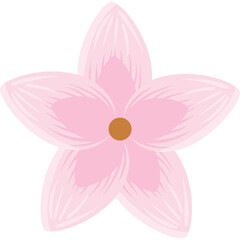Delicate Pink Cherry Blossom Flower with Brown Center Isolated on Transparent Background Simple Floral Illustration