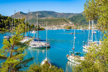 Fototapety na wymiar - Fototapeta24.pl