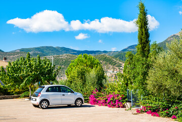 Fototapety na wymiar - Fototapeta24.pl