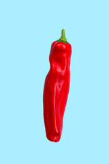 Palermo sweet chilli pepper on blue background.