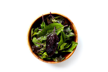 Holy basil, Fresh leaves of herb plant