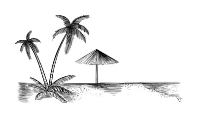 Tropical landscape with palm trees. Hand drawn sketch. Vector illustration. © Lucky Luck