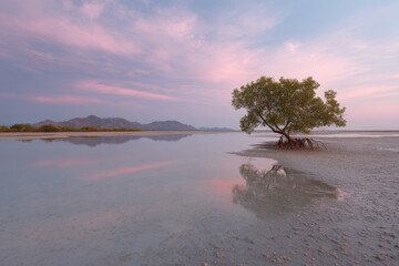 child is drawing in clean bright space with their artwork magically coming to life in augmented reality