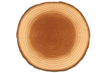 Wood slice showing natural tree rings and growth patterns, organic timber texture, transparent background