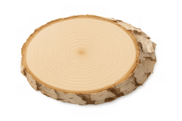 Tree slice showing annual growth rings and natural bark texture, wooden cross-section on transparent background