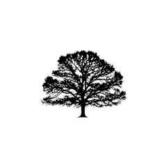 Elegant black tree silhouette offers a striking visual impact for creative design projects and natural themes