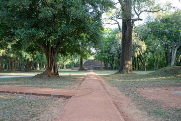 A path leading to an ancient Buddhist monument in central Sri Lanka.
