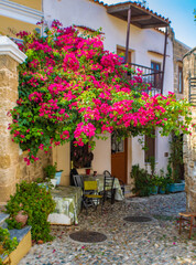 Bougainvillea plant above an entrance door in a small cobblestone alley,  Rhodes Old town, Greece