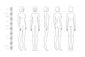Vector illustration of a 9 head woman in displaying multiple angles including front, side, and back. Perfect for fashion sketches, anatomy reference, and style design.
