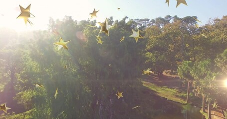 Bathing tree canopy on sunlit park with clearing, road, golden stars, lens flare, ridge treeline