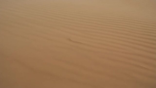Desert sand dust sweeping over the screen and wiping to the next clip. Gritty, natural transition effect for travel, adventure, or dry themes.