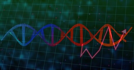 Displaying multicolor DNA helix running across grid, with magenta line graph arrow, specks, bokeh