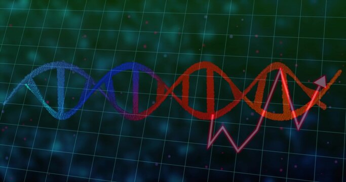 Displaying multicolor DNA helix running across grid, with magenta line graph arrow, specks, bokeh