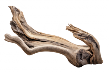 A beautifully weathered piece of driftwood intricate textures and natural patterns. isolated against a clean background. ideal for nature-themed decor or artistic displays