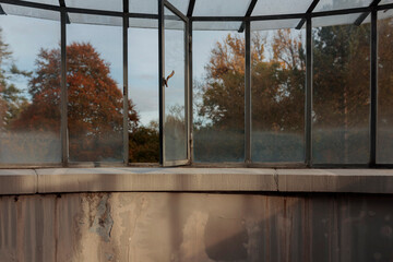 Weathered metal frame greenhouse windows overlooking autumn trees with rusted concrete foundation