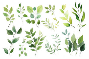 A collection of various green leaves in different shapes and sizes. the beauty of nature. perfect for botanical illustrations or backgrounds in design projects