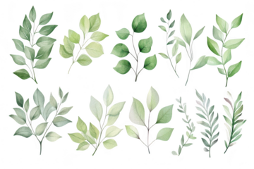 A collection of various green leaves different shapes and sizes. arranged artistically on a white background. ideal for nature-themed designs or botanical illustrations