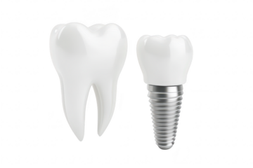 A close-up view of a realistic white tooth and a dental implant. their details and textures against a clean white background. ideal for dental health and cosmetic dentistry promotions
