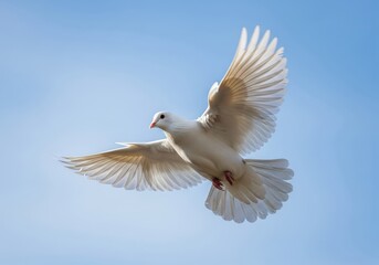 Fototapeta premium Brilliant white bird soars gracefully across a bright blue expanse