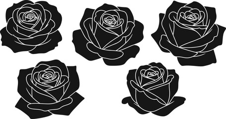Elegant black rose silhouette vector illustration featuring detailed floral line art outlines, perfect for botanical design, decorative artwork, modern branding, and creative digital projects