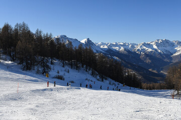 Fototapeta premium Skiers and snowboarders descending a ski slope in Sauze D'Oulx ski resort, Turin, Italy. Tree lined piste overlooking beautiful snowcapped mountains and the Milky Way ski area in the Piedmont region.
