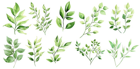 A collection of beautifully illustrated green leaves and branches in various shapes and sizes. the diversity of foliage. ideal for nature-themed designs and backgrounds