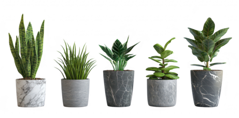 A stylish arrangement of five indoor plants in modern pots. a variety of textures and greens. set against a clean white background. ideal for home decor or interior design inspiration