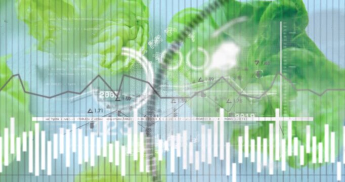 Timeline updating, HUD sweeping over lettuce, waveform pulsing, nodes linking, visualizing yield