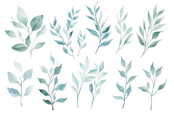 A collection of delicate watercolor illustrations featuring various types of green leaves arranged artistically. perfect for nature-themed designs or backgrounds