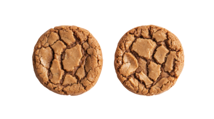 Two textured oval objects with a cracked pattern isolated on transparent background