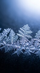 Modern Frost Crystals Macro, Frozen Window, Winter Nature