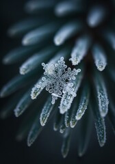 Modern Macro Snowflake Close-Up on Frosty Pine Needles - Winter Wonder