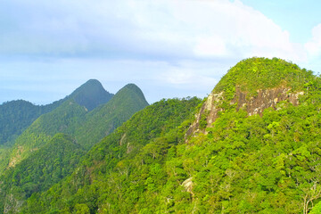 Rainforest hills in Machinchang Cambrian Geoforest Park, part of UNESCO Global Geopark. Langkawi island, Malaysia