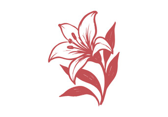 Lily flower hand drawn simple sketch vector illustration
