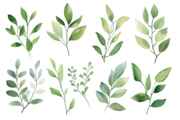A collection of delicate green leaves illustrated in various styles. their unique shapes and textures. ideal for nature-themed designs or botanical projects