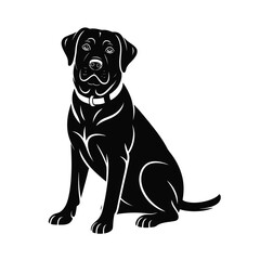 Black labrador retriever dog sitting patiently wearing a collar