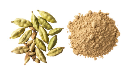 Green cardamom pods and powder isolated on transparent background