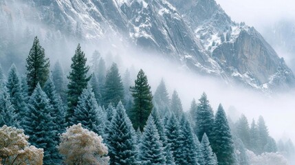 Majestic Snowy Mountain Winter Landscape