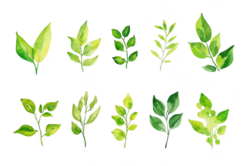 A collection of watercolor leaves various shades of green. arranged artistically in a row. ideal for nature-themed designs. backgrounds. or botanical illustrations