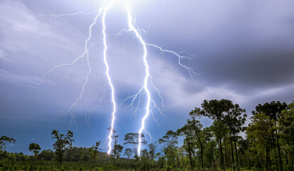 Tormenta eléctrica con rayo y relampago potente y cielo espectacular en la selva. Gran rayo de luz...