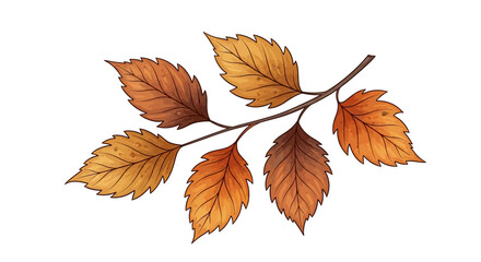 Rustic Hand-Drawn Autumn Leaves Branch PNG - Cozy Fall Digital Clip Art