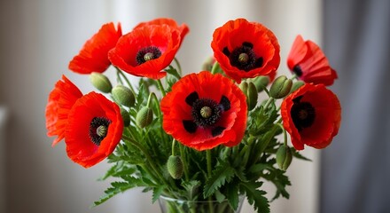 Fototapeta premium Vibrant red poppy bouquet with delicate petals and dark centers arrangement