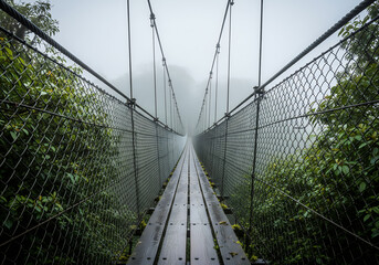 Obraz premium Suspension Bridge Disappearing into Foggy Forest Canopy Walkway.