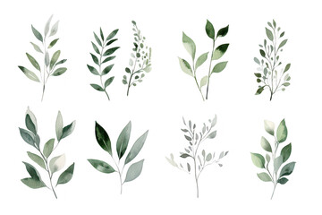 A collection of watercolor illustrations featuring various types of green leaves arranged in an artistic pattern. suitable for nature-themed designs. backgrounds. or botanical prints