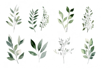 A collection of watercolor illustrations featuring various types of green leaves arranged in an artistic pattern. suitable for nature-themed designs. backgrounds. or botanical prints