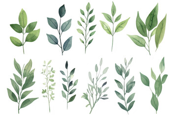 A collection of beautifully illustrated watercolor leaves in various shades of green. natural diversity. ideal for botanical designs and eco-friendly projects