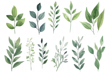 A collection of beautifully illustrated watercolor leaves in various shades of green. natural diversity. ideal for botanical designs and eco-friendly projects