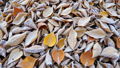 Fallen leaves cover ground, showcasing mix of brown and yellow hues, with light frost dusting some surfaces. scene evokes serene autumn atmosphere