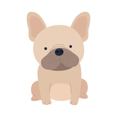 Fototapeta premium Adorable cartoon French Bulldog sitting contently.