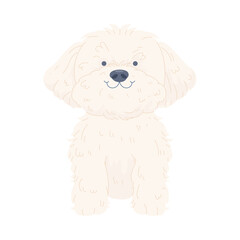 Cute cartoon illustration of a fluffy white dog with a friendly smile.